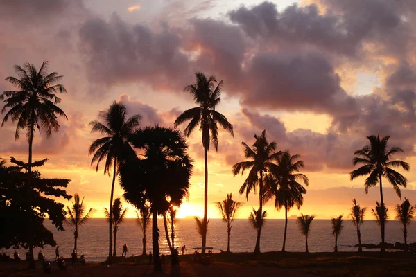 Palms tree on the background of the colorful sunset, cloudy sky and a sea. — Stock Photo, Image