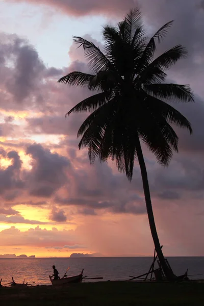 La vista al atardecer cielo y mar con una palmera y barco en la playa . — Foto de Stock
