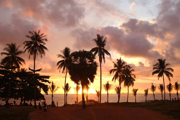 Palmeras en el fondo del colorido atardecer, cielo nublado y un mar . — Foto de Stock