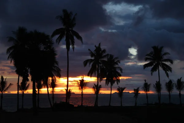 Пальмы на фоне красочного заката, облачного неба и моря . — стоковое фото