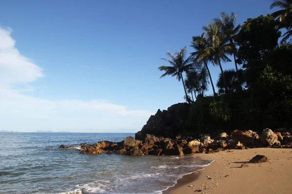 Вид на песчаный пляж с пальмами и синим морем . — стоковое фото