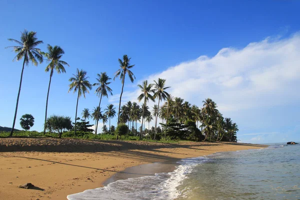 Pohled na písčité pláže, palmy a modré moře. — Stock fotografie