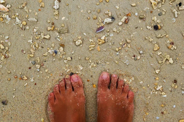 La vista superiore sulle gambe in riva al mare con pietre e conchiglie sulla sabbia . — Foto Stock