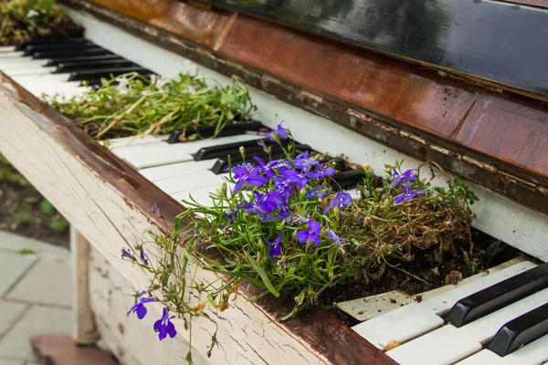 Das alte weiße Klavier mit Blumen. — Stockfoto