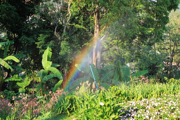 Pohled na kvetoucí zahradu s rainbow za slunečného dne. — Stock fotografie