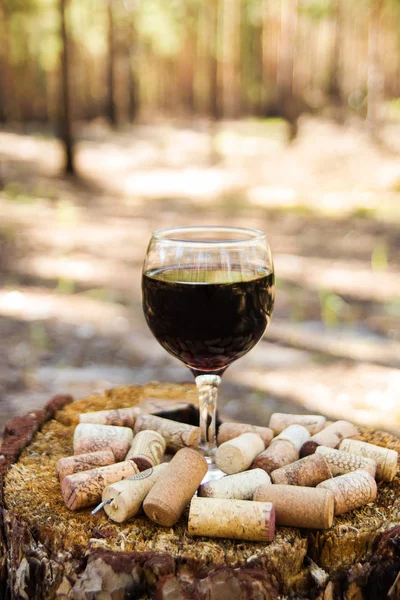 Ein Glas mit Rotwein und Weinkorken auf einem Baumstumpf vor dem Hintergrund eines Sommerwaldes an einem sonnigen Tag. — Stockfoto