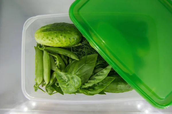 Verdura verde (manjericão, endro, azeda, ervilhas, pepino) no container de comida plástico em uma prateleira de um refrigerador . — Fotografia de Stock