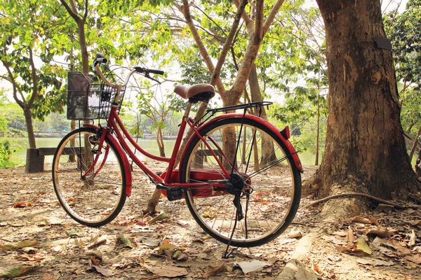 A bicycle on the dry autumn leaves in a park near to a lake. — Stock Photo, Image