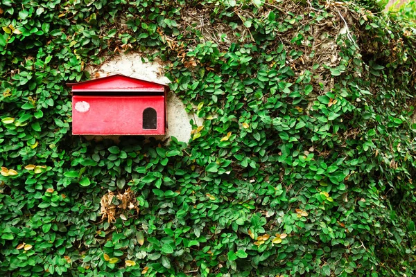 緑の壁に古いぼろぼろの赤い郵便ポストを残します チェンマイ — ストック写真