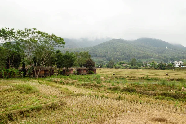 Farmářská Krajina Suchými Rýžovými Poli Horami Pozadí Oblačného Počasí Pai — Stock fotografie