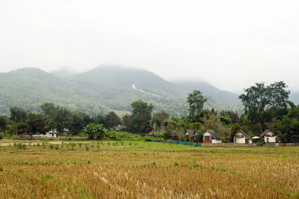 Farm Landscape Dry Rice Fields Mountains Background Cloudy Weather Pai — ストック写真