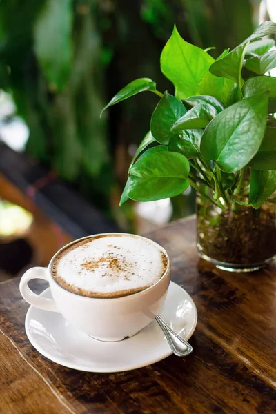 Cangkir Cappuccino Panas Dan Vas Kaca Dengan Tanaman Hijau Atas — Stok Foto