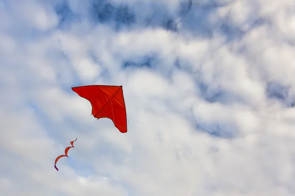 Röd drake flygande — Stockfoto