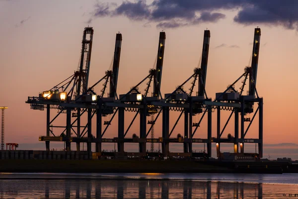 Zonsondergang of zonsopgang achter de kranen op Containerhaven — Stockfoto