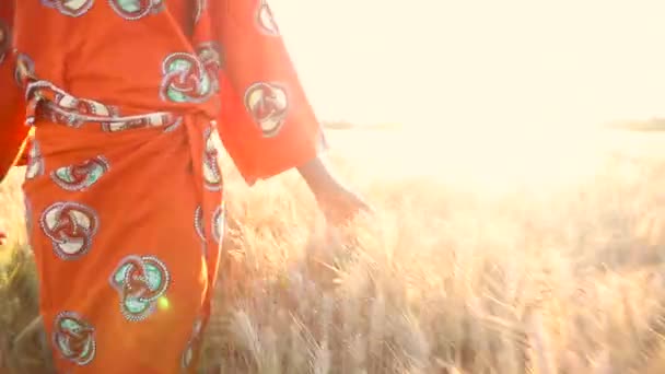 African woman in traditional clothes walking with her hand feeling a field of crops at sunset or sunrise — Stockvideo