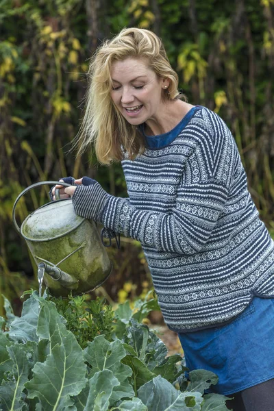 中年女性に野菜園芸じょうろ — ストック写真