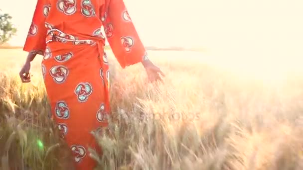 Африканская женщина в традиционной одежде ходит с рукой по полю с урожаями на закате или восходе солнца — стоковое видео