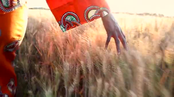 African woman in traditional clothes walking with her hand on a field of crops at sunset or sunrise — Stock Video