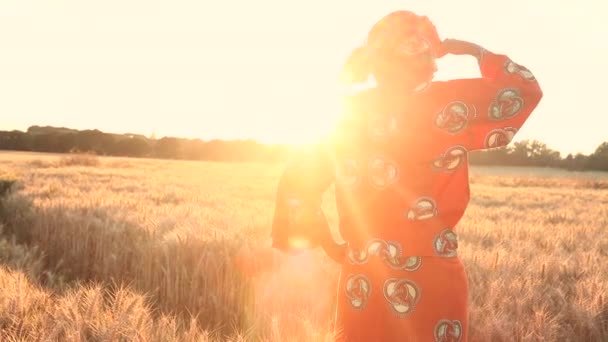 सूर्योदय किंवा सूर्योदय वेळी पिकांच्या क्षेत्रात उभे पारंपारिक कपड्यांमध्ये आफ्रिकन स्त्री — स्टॉक व्हिडिओ