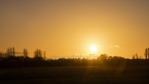 Tid förflutit eller timelapse video av gyllene solnedgången bakom träd över landsbygden fält — Stockvideo