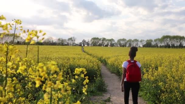 Hermosa raza mixta feliz chica afroamericana adolescente mujer joven senderismo con mochila roja en el campo de la semilla de colza flores amarillas — Vídeos de Stock