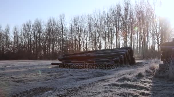 Frostig morgon vinter soluppgång i landskap med väg, träd och stockar — Stockvideo
