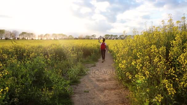 Vackra glada blandad ras African American girl tonåring kvinnliga ung kvinna vandring med röd ryggsäck i fält av våldtäkt utsäde gula blommor — Stockvideo