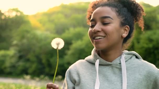 Hermosa mezcla feliz raza afroamericana chica adolescente o mujer joven riendo, sonriendo y soplando un diente de león al atardecer o al amanecer — Vídeos de Stock