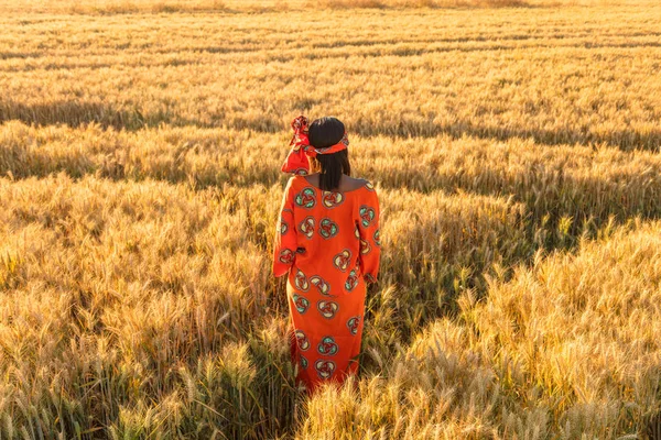Африканская женщина в традиционной одежде, стоящая на поле урожая — стоковое фото