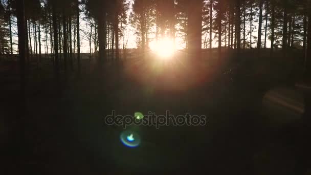 Стабилизированный следящий снимок солнечного света на закате или восходе солнца, вспыхивающего среди деревьев в темном лесу — стоковое видео