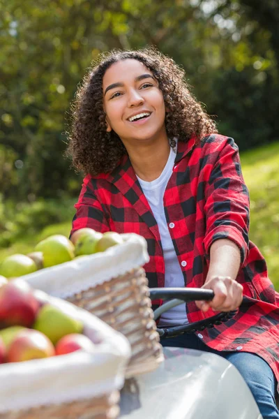 Misturado raça adolescente feminino trator de condução Picking maçãs — Fotografia de Stock