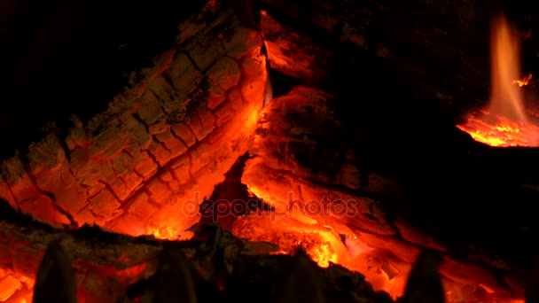 关闭4K 视频剪辑在传统的壁炉燃烧的日志 — 图库视频影像