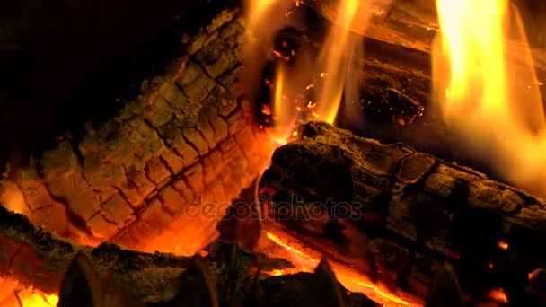 Primer Plano Video Clip Troncos Ardiendo Una Chimenea Tradicional — Vídeos de Stock