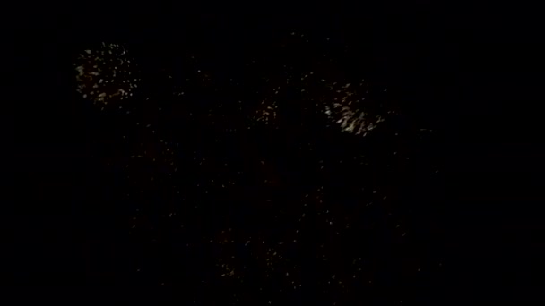 Clip Fuochi Artificio Che Esplodono Notte — Video Stock