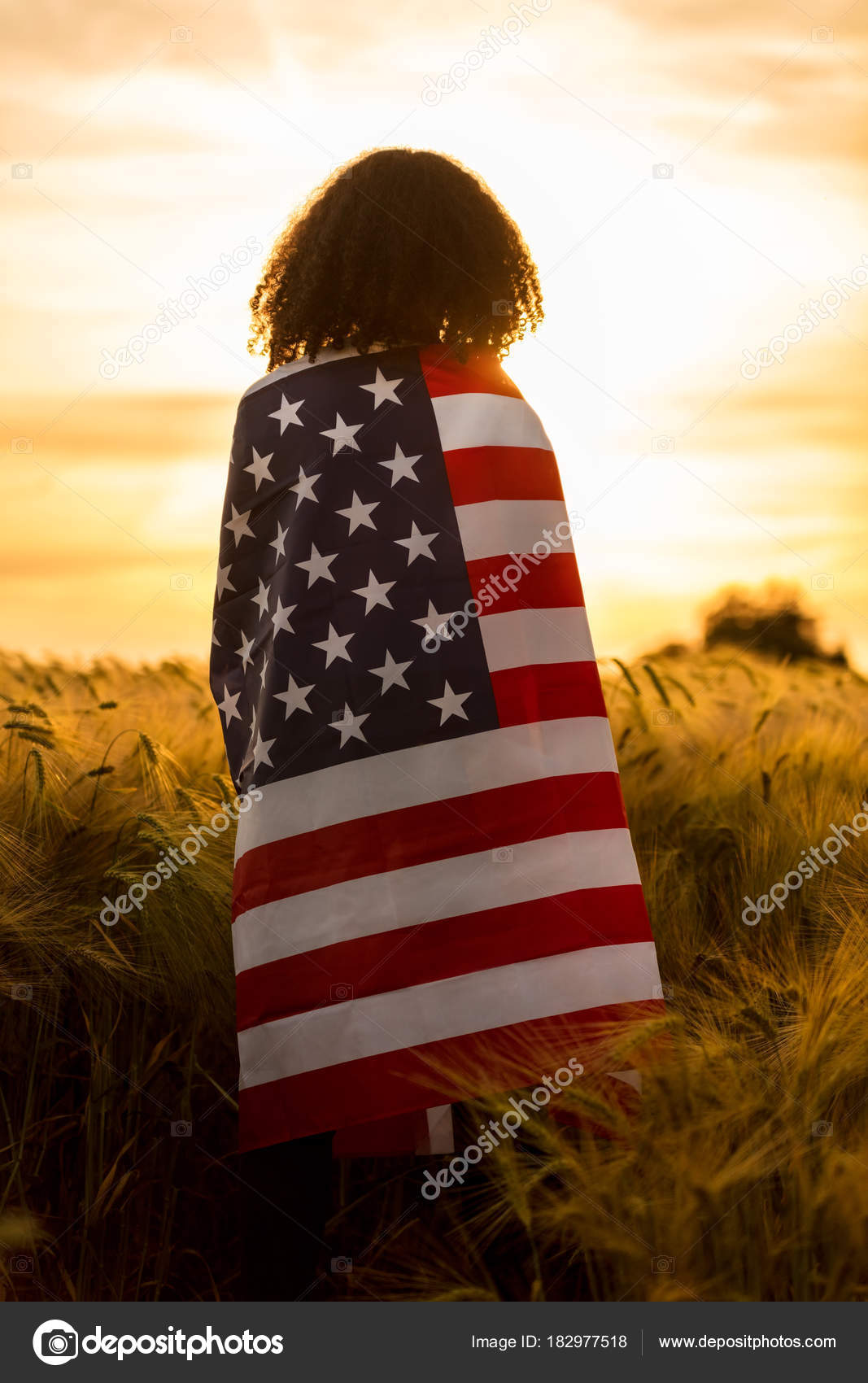 Stars And Stripes Pictures  Download Free Images on Unsplash