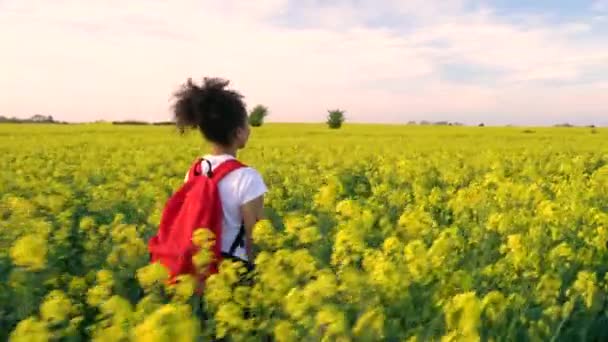 Clipe Vídeo Bela Raça Mista Feliz Menina Afro Americana Adolescente — Vídeo de Stock