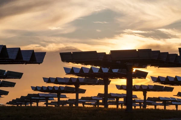 Field Photovoltaic Solar Panels Providing Alternative Green Energy Sunrise Sunset — Stock Photo, Image
