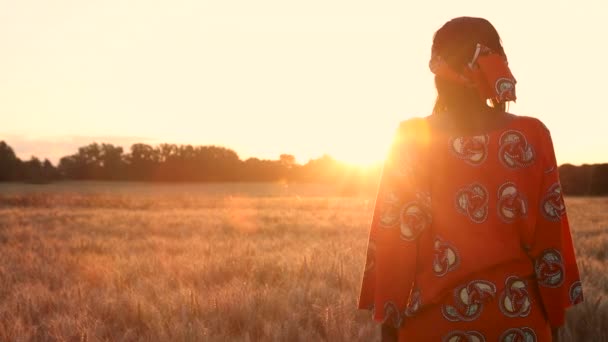 Βίντεο Κλιπ Της Αφρικής Αγρότη Γυναίκα Παραδοσιακά Ρούχα Στέκεται Ένα — Αρχείο Βίντεο