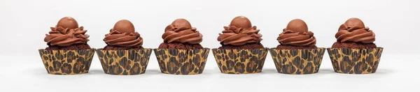 Panorama Six Chocolate Cup Cakes Panoramic Web Banner — стокове фото