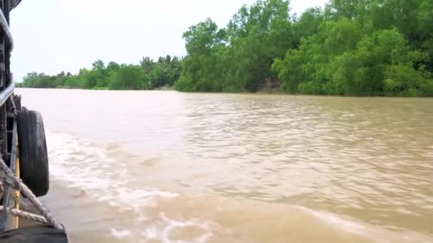 View Rain Forest Riverbank Vietnamese Boat Sailing Mekong River Mekong — Stock Video