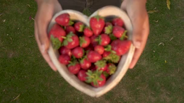 Enfoque Rack Mujer Joven Sosteniendo Cuenco Madera Forma Corazón Fresas — Vídeo de stock