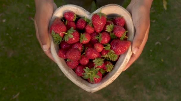 Mujer Joven Eligiendo Una Fresa Cuenco Madera Forma Corazón Fresas — Vídeos de Stock