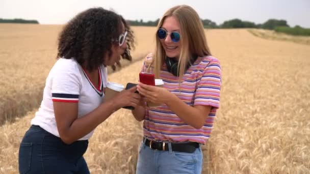 漂亮的金发女孩和男女混血的少女戴着太阳镜喝咖啡 用手机 智能手机和社交媒体 — 图库视频影像
