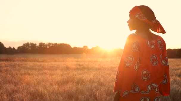 小麦または大麦のフィールドに立っている伝統的な服のアフリカの女性農家のHdビデオクリップ 日没または日の出 — ストック動画