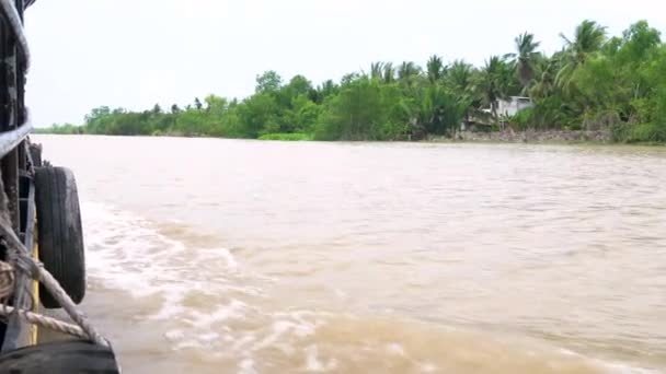 Pohled Deštný Prales Břeh Řeky Vietnamské Lodi Plachtění Řece Mekong — Stock video