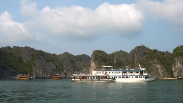 Tourists Cruise Boats Long Bay Cat National Park North East — стокове відео