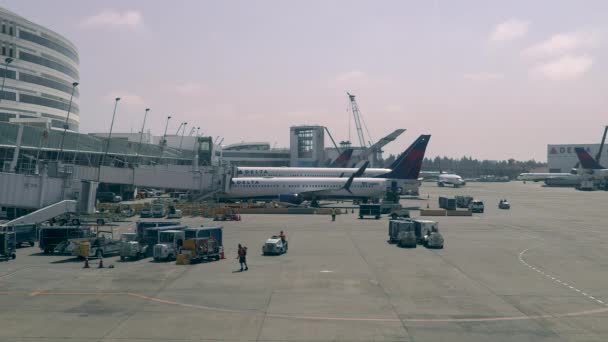 Aircraft Och Ground Crew Seattle Tacoma Airport Washington Usa August — Stockvideo