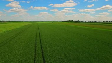 Drone uçuş alanları üzerinde.