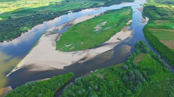 Island on the river seen from a bird's eye view. — Stock Video