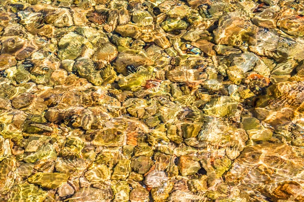 Su içinde taşlar. Taşlık Plajı. Su üzerine renkli düşünceler.